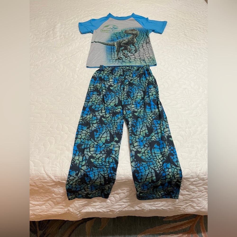 (G) Jurassic World Blue Dinosaur Pajama Set